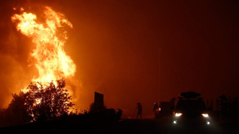 Пожары в Турции: почему люди злорадствуют?